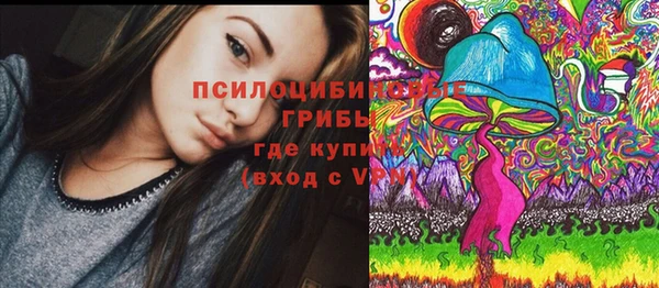 ГАЛЛЮЦИНОГЕННЫЕ ГРИБЫ Баксан
