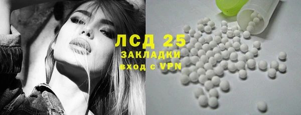 ГАЛЛЮЦИНОГЕННЫЕ ГРИБЫ Баксан