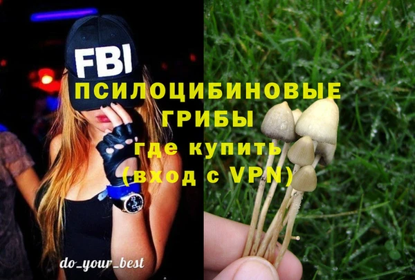ГАЛЛЮЦИНОГЕННЫЕ ГРИБЫ Баксан