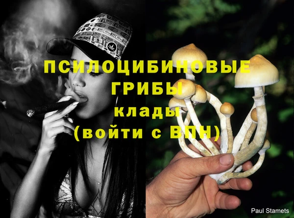 ГАЛЛЮЦИНОГЕННЫЕ ГРИБЫ Баксан