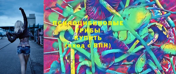 ГАЛЛЮЦИНОГЕННЫЕ ГРИБЫ Баксан