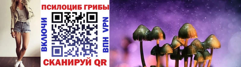 Псилоцибиновые грибы GOLDEN TEACHER  Буй 